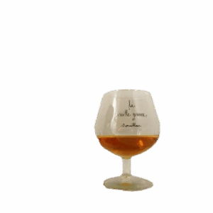 Vieille prune 41%