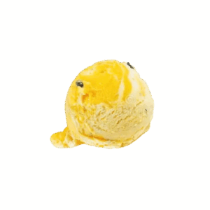 1 boule sorbet
