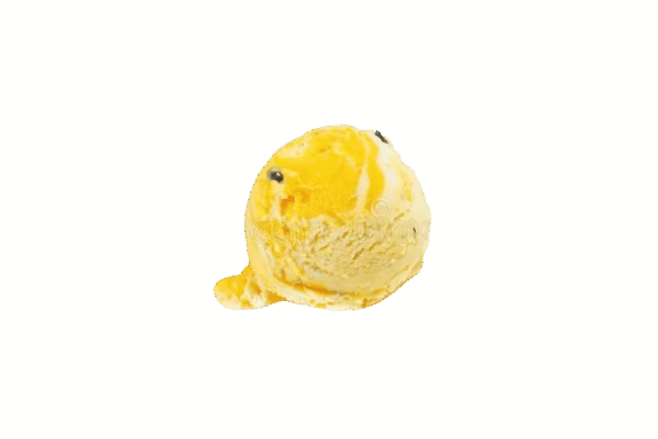 1 boule sorbet